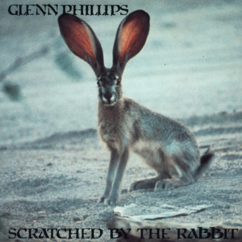 Glenn Phillips : Scratched by the Rabbit